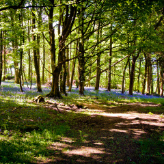 20130602 DSC 5860 1000