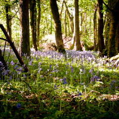 20130602 DSC 5864 1000