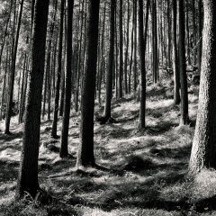 20130602 DSC 5870 1000