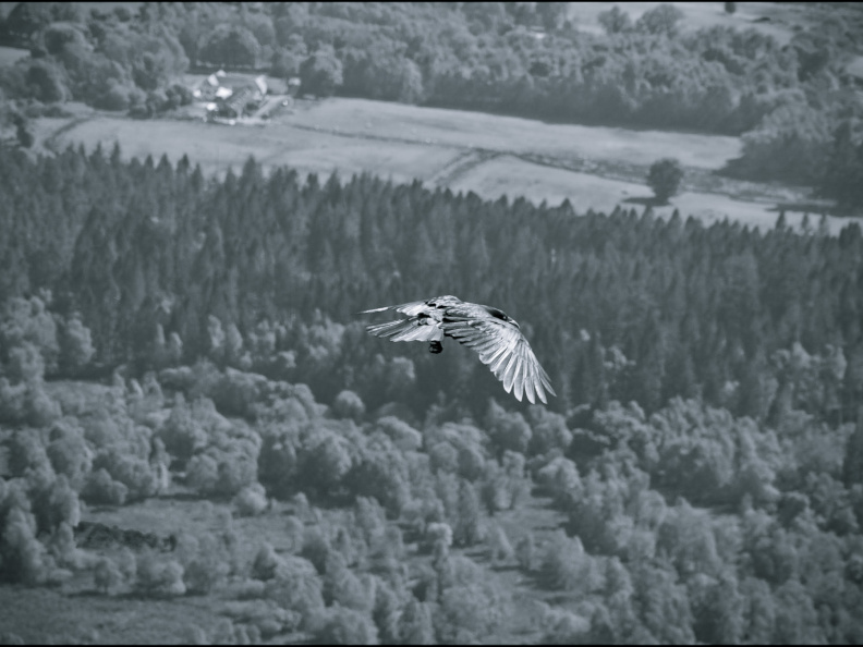 20130602 DSC 5918 1000