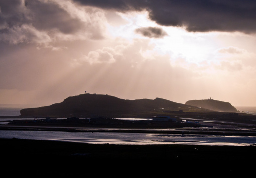 20150126 DSC 1802 1000