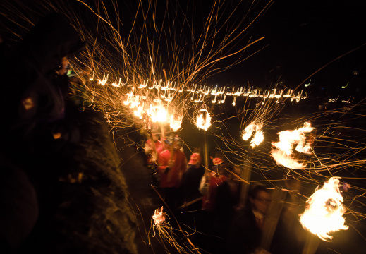 20150127 DSC 1977 1000