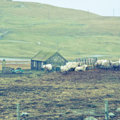 20150128 DSC 2023 1000