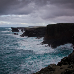 20150128 DSC 2025 1000