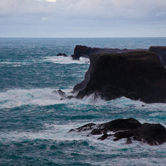 20150128 DSC 2028 1000