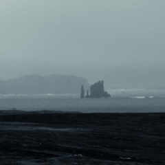 20150128 DSC 2032 1000