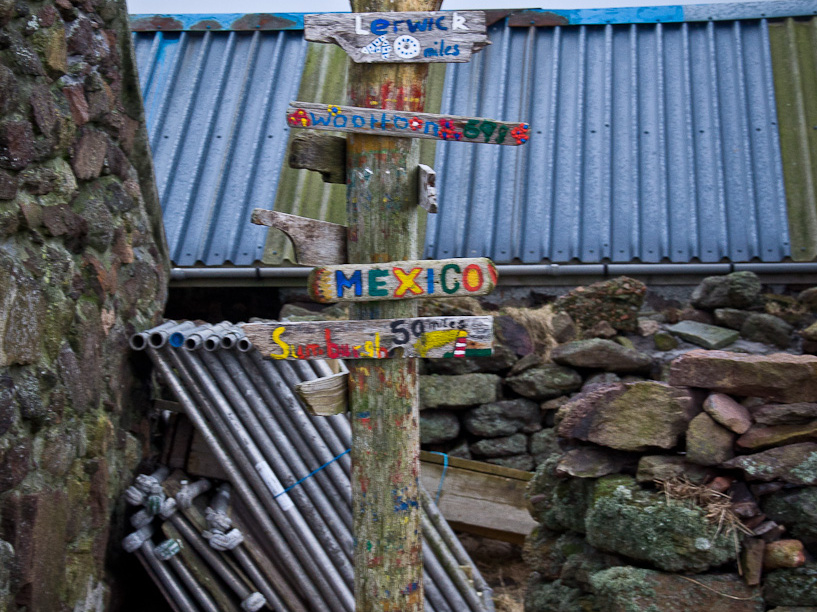 20150128 DSC 2038 1000