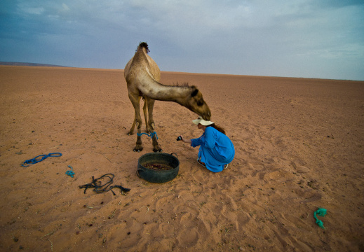 20110817 DSC 3498 1000