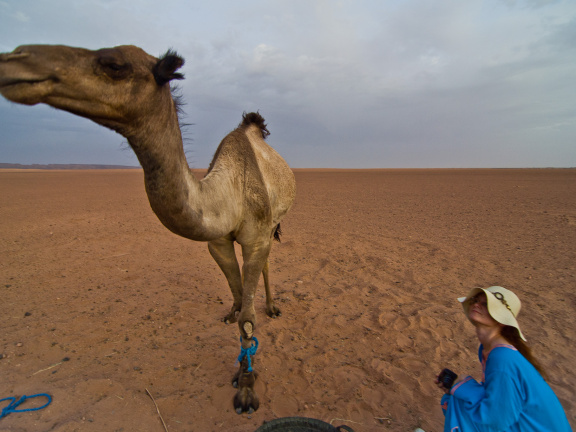 20110817 DSC 3499 1000