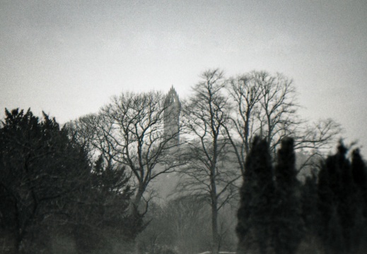 OM30 fp4 tamron 70-150ad2 solGstand001