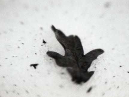 OM30 fp4 tamron 70-150ad2 solGstand009