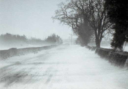 OM30 fp4 tamron 70-150ad2 solGstand 022