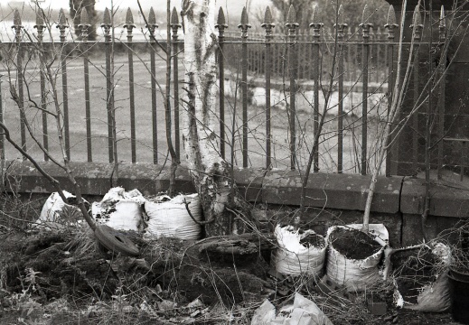 AE1 fp4 oldHC110 stand 002