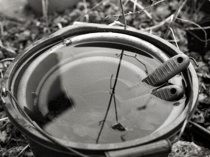 AE1 fp4 oldHC110 stand rescan 006