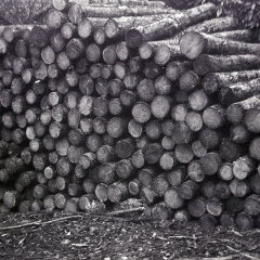 halina pet hp5 hc110 semistand 001