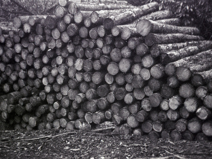 halina pet hp5 hc110 semistand 001