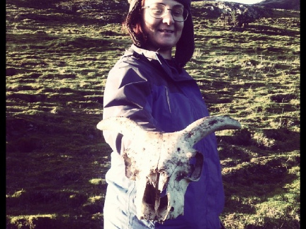 062383ff0ca54601e43c4340b48d9371