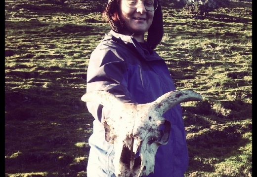 062383ff0ca54601e43c4340b48d9371