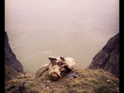 63563ba28e8bbdfec6269c49bcbb18a0