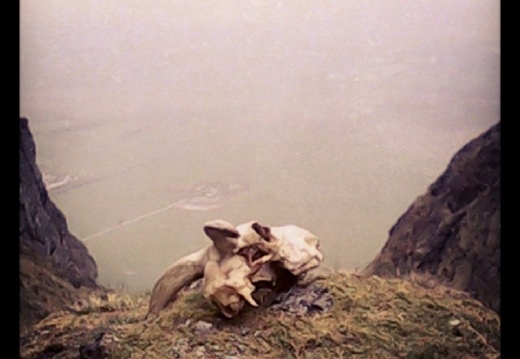 63563ba28e8bbdfec6269c49bcbb18a0