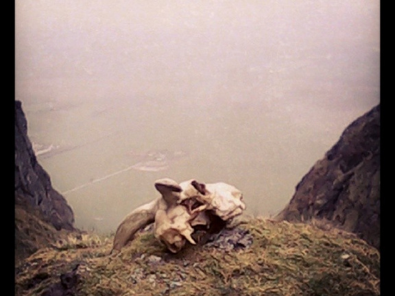 63563ba28e8bbdfec6269c49bcbb18a0