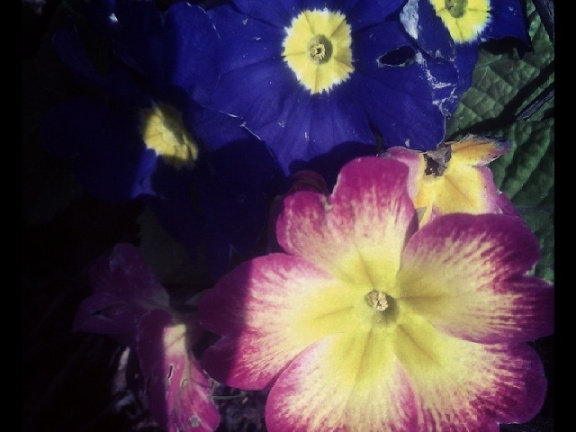 b10928552a72fa5dcd47f63780054e1a