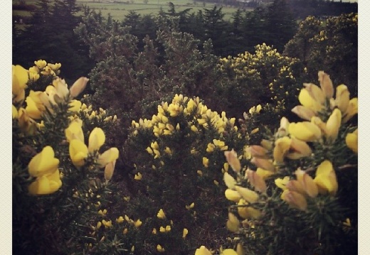 c5f995353dab7ff22c65947a747f817a