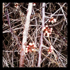 d5ecaaf90ee1b8d30c3b501f1088f946