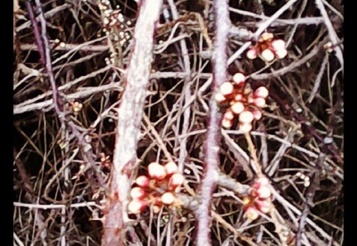 d5ecaaf90ee1b8d30c3b501f1088f946