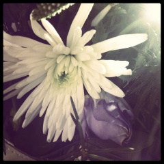 d9eb82abca0a0bfb2941fc60492a67a3