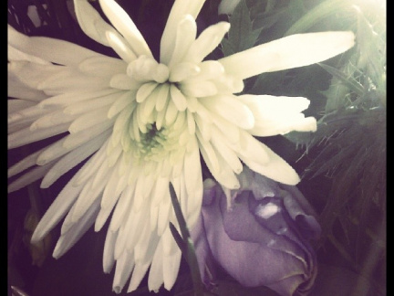 d9eb82abca0a0bfb2941fc60492a67a3