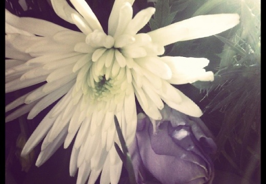 d9eb82abca0a0bfb2941fc60492a67a3