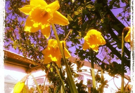 3e029164cd903c8810e24a982b3237aa