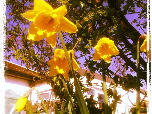 3e029164cd903c8810e24a982b3237aa