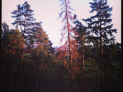 3f9a59e1f0401db982696cb44a6c093d