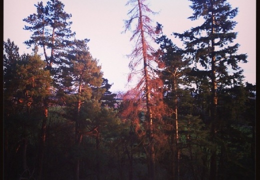 3f9a59e1f0401db982696cb44a6c093d