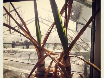 7ed75cd67c628402fe74881850423ea2