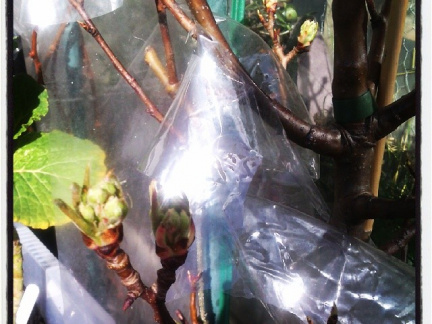 9fc70a88939b3de6debb4828c5738254