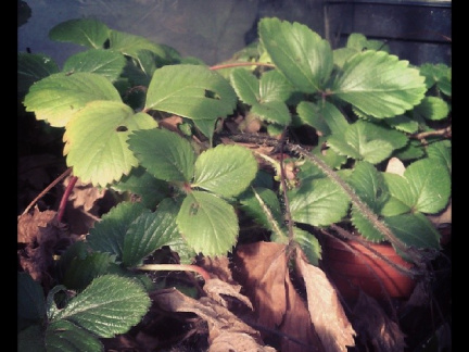 42b6324f1241e23047d741ce9746f671