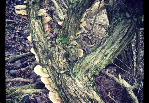 50e713b78794a38f464ea4e965f03d06