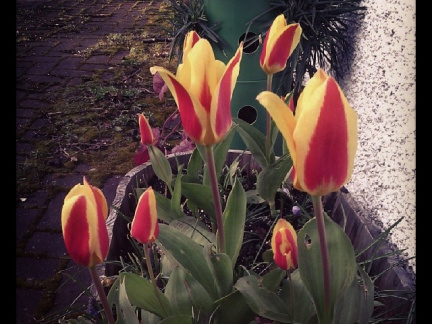 93fc6754799368318b02530cfa06f7d4