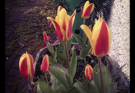 93fc6754799368318b02530cfa06f7d4