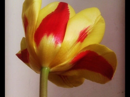 99e1b3f87f299ffa30f1225c29c8ac52