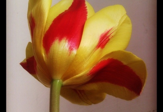 99e1b3f87f299ffa30f1225c29c8ac52