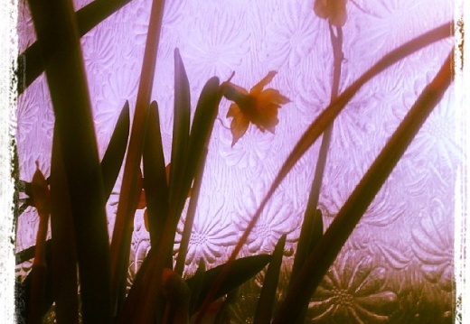 003558c7b85bc2cedb99612284649877