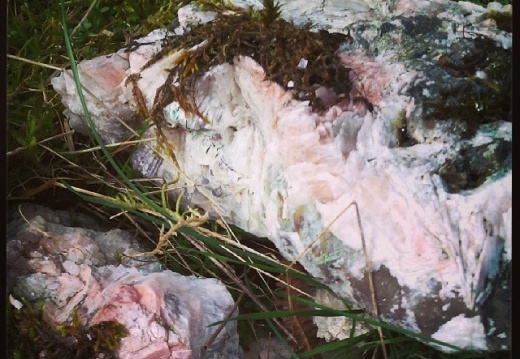 34908f78c6e50db4f10e23f47f8568ae