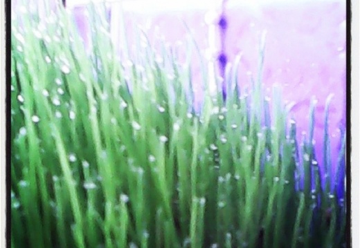 077dae80ac4847145852b5099520cc61