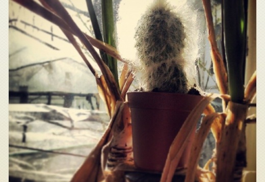 81d4de6f07a59bd77b800c8bd0fc63ec