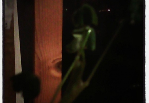 84f9a3b03223050961893a80284bdfcd