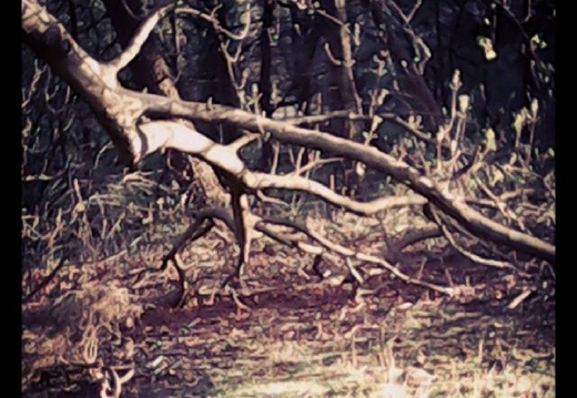 93d86159069ff380e72ca89252f42fa6